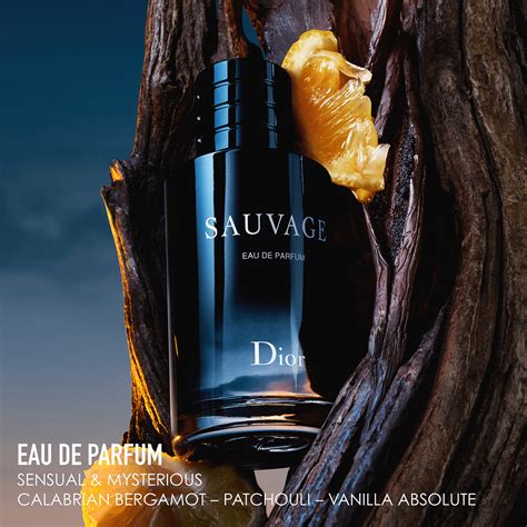 sauvage dior note olfactive|sauvage eau de parfum.